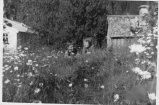 068-Eldri bilder 58.jpg.small.jpeg
