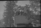 148-SH13.jpg.small.jpeg
